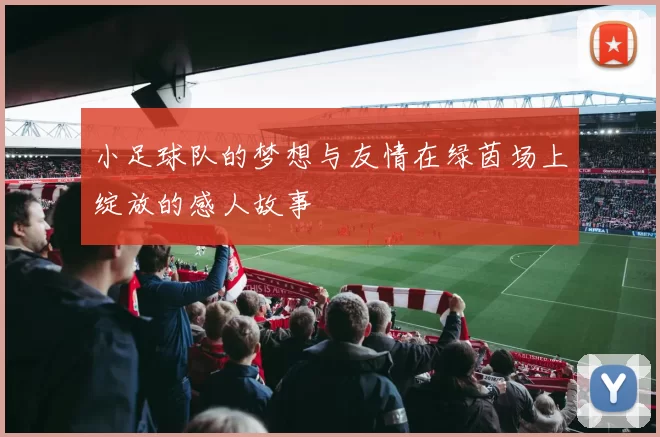 小足球队的梦想与友情在绿茵场上绽放的感人故事